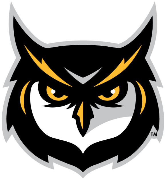 Kennesaw State Owls 2012-Pres Alternate Logo v3 diy iron on heat transfer